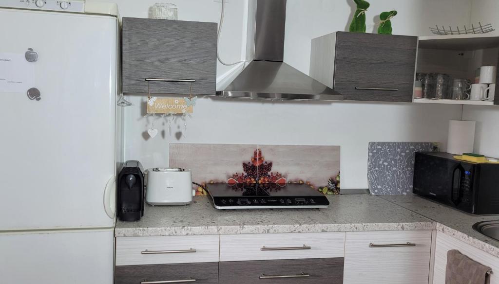 Teljesen felszerelt konyha a Palatinus Apartmanban
